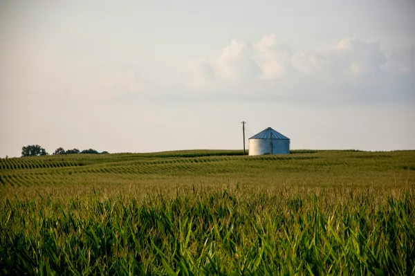 A loan grain silo stands across an empty field with gray sky and a single, solitary cloud.